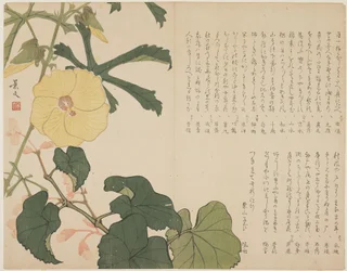 (Gele bloeiende struik), c. 1818-1829